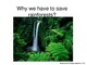 Why we have to save rainforests