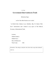 Government intervention in trade (reflection paper) 1