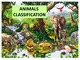 Animals classification