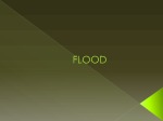 Flood 1