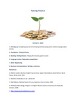 Raising finance Lecture plan