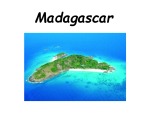 Madagascar 1