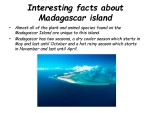 Madagascar 12