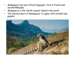 Madagascar 13