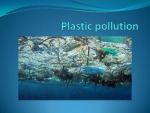 Plastic pollution 1