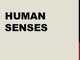 Human senses