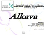 Alkava company 1