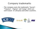 Iceco company 6