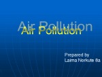 Air Pollution presentation 1