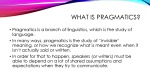 Pragmatics 3