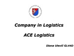 Company in logistics Ace logistics 1