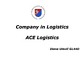 Company in logistics Ace logistics