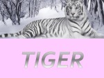 Tiger and Elephant 1