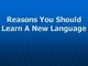 Reasons You Should Learn A New Language