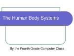 The Human Body System 1