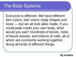 The Human Body System 2