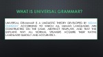 Universal grammar 2