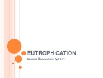 Eutrophication 1