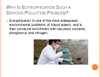 Eutrophication 3