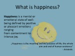 How to pursuit happiness 2