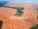 Deforestation ppt