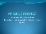 Present perfect tense 1