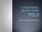 Traditional British sport Polo 1