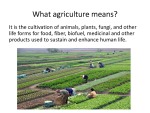 Agriculture Cultivation 3