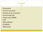 Forest ecosystem 2