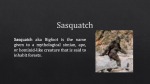 Sasquatch aka Bigfoot 1