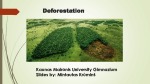 Deforestation skaidrės 1