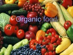 Organic food 1