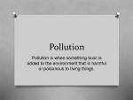 Pollution presentation 1