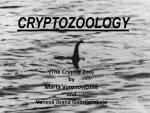 Cryptozoology 1