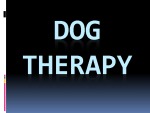 Dog Therapy 1