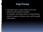 Dog Therapy 2