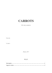 Carrots 1