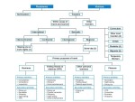 Classification of travelers 2