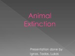 Animal Extinction 1