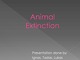 Animal Extinction