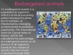 Animal Extinction 3