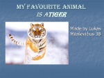 My favourite animal / Tiger 1