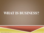 What is business 1