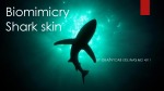 Biomimicry Shark Skin 1