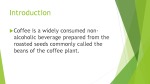 Coffee Plant 2