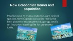 Lagoons of New Caledonia 3