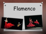 Flamenco 1