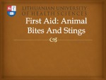 First Aid: Animal Bites And Stings 1