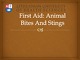 First Aid: Animal Bites And Stings