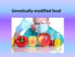 Genetically modified food presentation 1